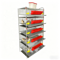 Nouvelle cage à cailles de type H durable pour l'élevage avicole moderne, gestion écologique de la production d'œufs