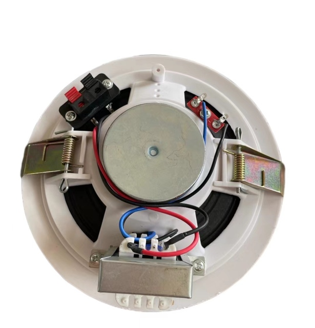 TPI-350 Professional 5.25 Inch Factory Wholesale Full Range Speaker Audio Plastic Passive Speaker Customized In-Ceiling Speaker