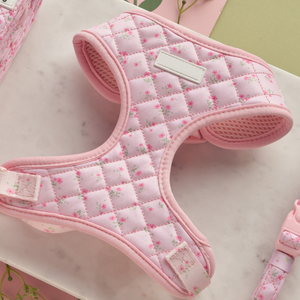 Conjunto de Collar y Correa Personalizados para Cachorros, Arnés Acolchado de Neopreno para Perros - Product Image 1