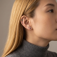 Maina G23 Titanium Labret Piercing Jewelry Exquisite Zircon Cartilage Earrings Internally Thread Tragus Helix Lobe Lips PIERC
