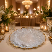 Assiettes de Présentation Rondes en Plastique Écologique de 13 Pouces, Lot de 50 Pièces pour Mariages, Banquets et Décorations de Fêtes, Boîte Mystère à Sélection Aléatoire