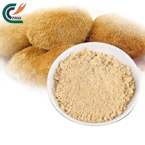 Wholesale Bulk Organic Hericium Erinaceus Lions Mane Mushroom Powder