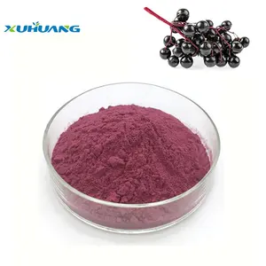 Factory Supply Black Elderberry Extract