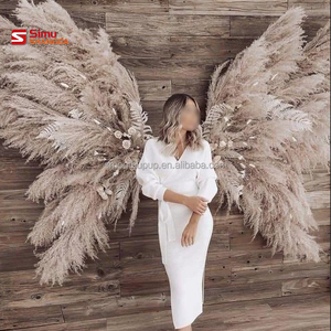 <span class=keywords><strong>Ali</strong></span> d'<span class=keywords><strong>Angelo</strong></span> in Pampas a Prezzo Conveniente, Sfondo con <span class=keywords><strong>Ali</strong></span> di Pampas, <span class=keywords><strong>Ali</strong></span> di <span class=keywords><strong>Piume</strong></span> d'<span class=keywords><strong>Angelo</strong></span> a Prezzo Economico, Vendita all'Ingrosso per Feste - Product Image 1