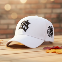 Gorra de béisbol deportiva unisex con logo personalizado al por mayor, 6 unidades, lisa, con estampado por transferencia térmica, OEM, 100% poliéster, pana, letras comunes, visera curva
