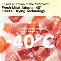 Friandise Quanying pour tortues, poisson séché au soleil, 120g, snack à haute teneur en protéines à base d'anchois pour tortues rouleaux, tortues de type Box Turtle et reptiles aquatiques