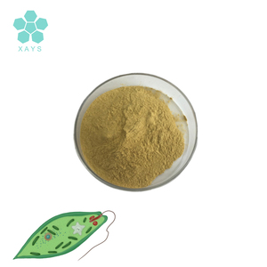 مسحوق مستخلص من مكملات غذائية طبيعي بنسبة 100% من يوجلينا - Product Image 3