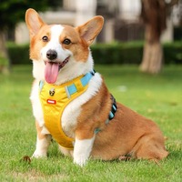 Harnais pour chien rembourré de qualité supérieure, sans traction, réglable, réfléchissant, en maille respirante, en polyester, avec fermeture à bouton, pour petite race, personnalisé
