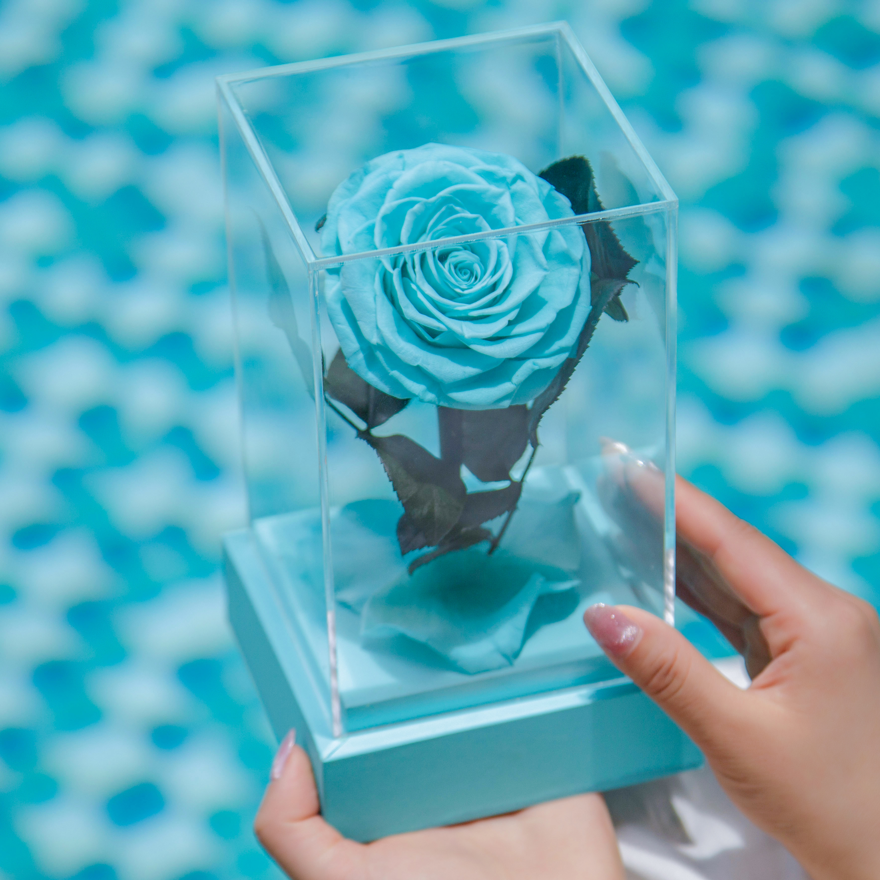 Nouveau Design Roses En Acrylique
