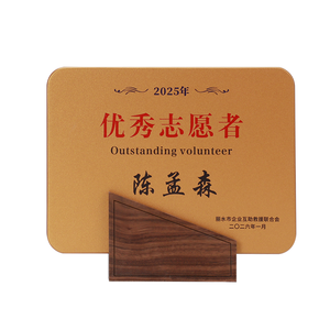 Medalla Rectangular de Madera de Nogal con Logotipo Personalizado, Placa de Premio para Competencias Deportivas, Aniversarios, Reconocimiento a Voluntarios, Insignia de Madera para Exhibición - Product Image 6