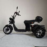 Tricycle électrique à trois roues Loyal, tricycle électrique de transport, tricycle électrique adulte 4000w, trikes scooters citycoco à trois roues