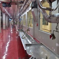 Économie de main-d 'œuvre équipement d'abattoir mouton avec couteau d'abattage mouton pour usine de transformation de la viande