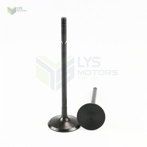 Precio barato de la válvula del motor de LR025301 de LR030370 16V PT204 2.0L L538 2,0 4x4 L359 2,0 Si4 4x4 2,0 para Land Rover - Product Image 3