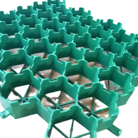 Grille de gazon en plastique HDPE NETE, pose facile pour les travaux de terrassement dans les allées, les parkings, les pentes et les aménagements paysagers