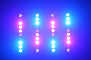 Lumière matricielle <span class=keywords><strong>LED</strong></span> à faisceau E27 10 yeux RGBW blanc chaud 2 couleurs DMX512 pour bars/DJs/discothèques/boîtes de nuit - Product Image 5