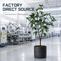 OH Arts Europese Mode Nieuw Ontwerp Kunstplanten & Groen Eucalyptus Fruittakken Met Bladeren voor Huisdecoratie