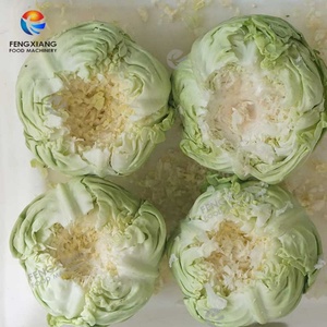 Factory Direct Supply Commercial Vegetable Cabbage Coring Machine 700-750pcs/h - Product Image 6