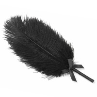 Baguette érotique en plumes d'autruche noire pour femmes, accessoires de préliminaires et de flirt pour couples, produits sexuels pour adultes Yusheng En stock