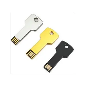 Laser Logo USB Flash drive Key 2GB, Disk on key, Metal Key Flash drive USB 4GB 8GB