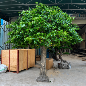 Large Artificial Banyan <b>Tree</b> with Natural Aerial Roots Realistic Customizable for Restaurant Mall Commercial Interior Decor - Product Image 1