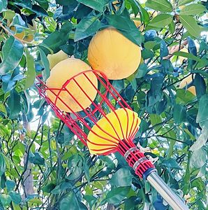 Outil manuel de jardin manuel de bricolage de cueilleur de <span class=keywords><strong>fruits</strong></span> à haute altitude pour la <span class=keywords><strong>cueillette</strong></span> de <span class=keywords><strong>fruits</strong></span> - Product Image 1
