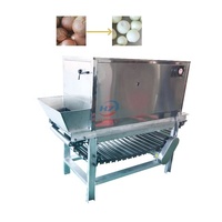 Machine à éplucher l'oignon et l'ail à haute efficacité Machine à éplucher la peau d'oignon à chaîne pour éplucher les légumes