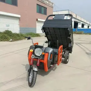 Erwachsene 1-teiler gebraucht lang E-Cargo elektrisch günstig E-Dreirad elektrisches Dreirad für Bauernhof mit hintern