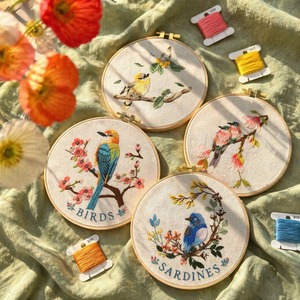 1 Kit de Broderie pour Débutants, Matériaux DIY Colibris et Fleurs, Artisanat Artistique et Couture Pratique - Product Image 1