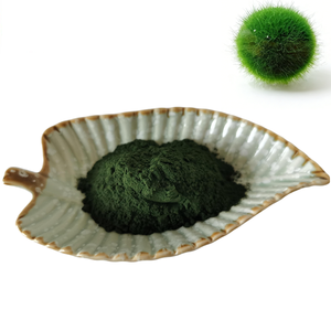 ผงคลอเรลล่าจากโรงงาน ผลิตจากธรรมชาติ ผงคลอเรลล่าวัลการิส ผงคลอเรลล่าเกรดอาหาร ราคาขายส่ง - Product Image 1