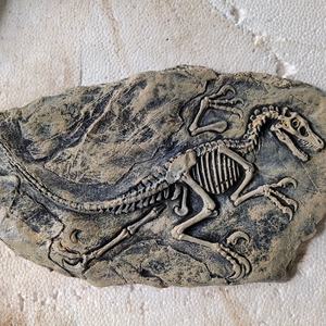 Zigong Blauwe Hagedis Opgraving Animatronic Dinosaurus Giant Skeletschedel Stegosaurus Dinosaurus Fossielen - Product Image 5