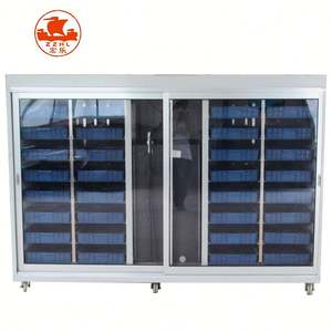 เครื่องปลูกถั่วงอกไมโครกรีน HONGLE HLYJ-50M พร้อมมอเตอร์ ผลผลิตสูง 25 กก./วัน ความจุ 220V/380V - Product Image 4