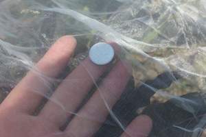 अच्छी गुणवत्ता वाली गर्म बिक्री कृषि उपयोग विरोधी कीट जाल - Product Image 6