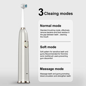 Roterende Tandenborstel Oscillerende Oplaadbare Reis Elektrische Tandenborstel Slimme Electr Penseeltand - Product Image 3