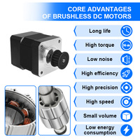 Moteur CC sans balais 42 mm de diamètre, pompe à eau 12 V, moteur CC sans balais pour drone, 24 V 12 V 2000 tr/min, faible vitesse