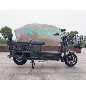 Excellente capacité de charge, scooter/moto électrique 60V 1000W CKD pour adultes - Product Image 6