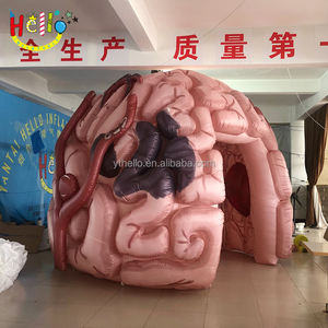 Les événements de soins de santé personnalisés traversent le <span class=keywords><strong>tunnel</strong></span> du cerveau Passage gonflable <span class=keywords><strong>pour</strong></span> l'éducation - Product Image 4