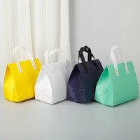 Sac isotherme jetable biodégradable en tissu non tissé imperméable pour aliments chauds et froids, lait, thé, barbecue, exposition