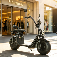 Moto électrique haute performance 1500 W pour adultes, deux roues, 60 V, cadre en acier, moteur à moyeu arrière à capteur, vente en gros