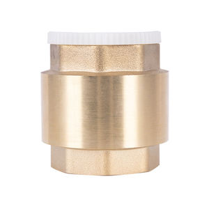 Vanne de retenue verticale en laiton |   Vanne anti-retour filetée femelle pour systèmes de lutte contre l'incendie et d'approvisionnement en eau, incendies de classe A/B - Product Image 3