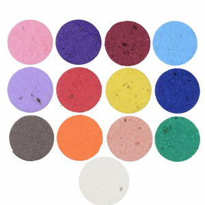 Busta di Semi Personalizzata a Forma di Colibrì, Regalo Naturale e Vibrante per Giardino e Esterni - Product Image 4