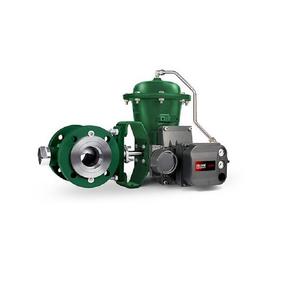 Válvula de Bola Vee-Ball V150 V200 V300 con Posicionador de Válvula Digital DVC6200 DVC2000, Regulador de Filtro 67CFR 67DFR - Product Image 3