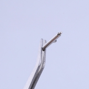 Barre à ressort en acier inoxydable 304 durable, à tête <span class=keywords><strong>ronde</strong></span> de 5,5 mm, soudée, allongée, de 10 mm de long et de 1,5 mm de diamètre, à dégagement rapide pour <span class=keywords><strong>montre</strong></span> - Product Image 4