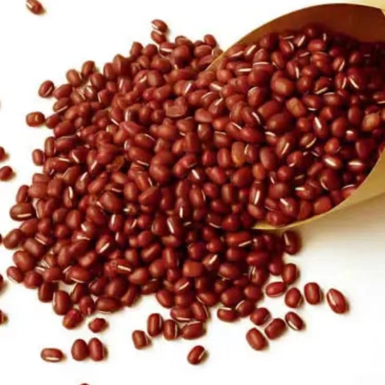 High quality wholesale red beans are very sweet and used as dessert drinks.