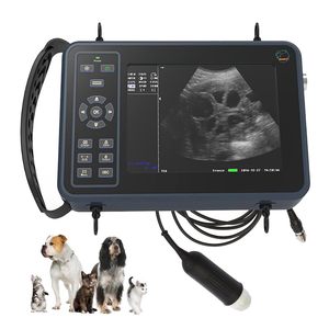 Échographe vétérinaire portable GOYOJO à succès pour la gestation, avec sonde sectorielle mécanique pour ovins - Product Image 1