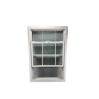Fenêtres à guillotine doubles en PVC blanc de style européen et américain, avec moustiquaire magnétique en acier inoxydable, cadre en plastique, isolation thermique