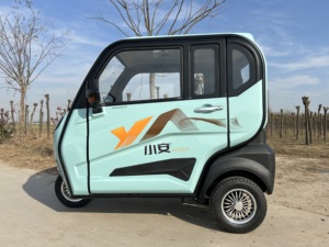 Tricycle électrique cargo pour adultes - Carrosserie fermée, 3 passagers, grande capacité de charge - Product Image 1