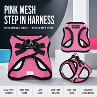 Nouveau design Harnais pour chat et chien rose et noir en maille respirante avec bordure réfléchissante et boucle rapide, commandes de collection sous marque privée