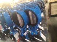 Vanne papillon à siège souple DN50 de 2 pouces, en fonte ductile avec joint EPDM, peinture bi-couche sablée pour l'alimentation en eau