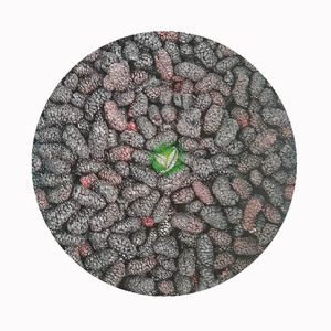 Mûres surgelées IQF XMSD pour garnitures <span class=keywords><strong>de</strong></span> pâtisserie et préparation <span class=keywords><strong>de</strong></span> fruits, avec exécution <span class=keywords><strong>de</strong></span> recettes OEM et contrôle <span class=keywords><strong>de</strong></span> conformité - Product Image 2