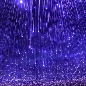Cortina de Luz de Fibra Óptica con Destellos Coloridos, Efecto Cielo Estrellado, Árboles de Fibra Óptica para Exteriores, Decoración de Jardín, Resistente al Agua - Product Image 1
